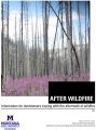 Icon of After Wildfire